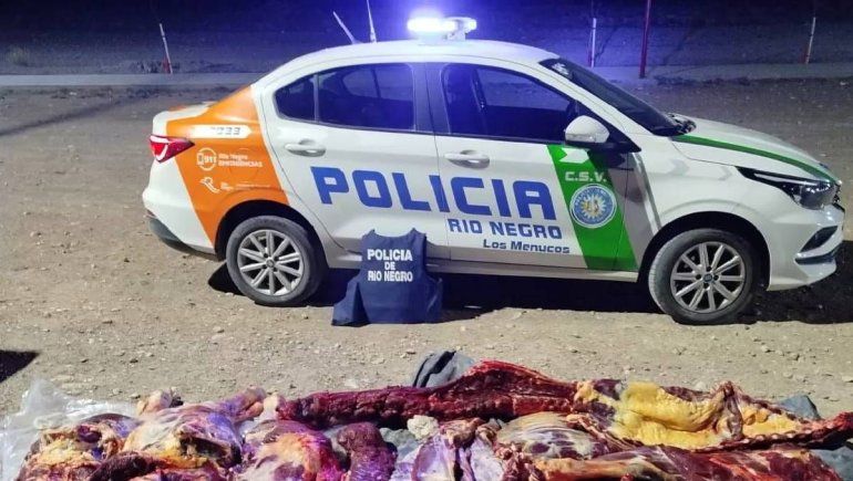 La Policía descubrió carne de caballo de una faena clanestina.