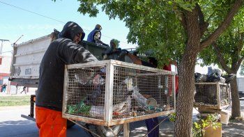 Los empleados liberaron el predio de la ex Roweco.