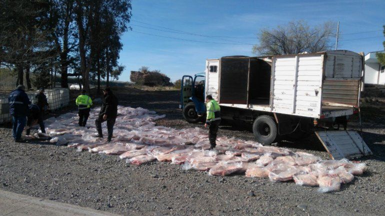 La valiosa carga de costillares pampeanos se encontraba oculta en contenedores de productos químicos.