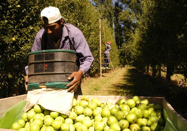Día del Trabajador Rural