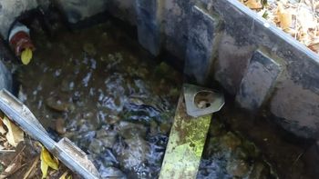 bronca: siguen robando medidores de agua en cipolletti