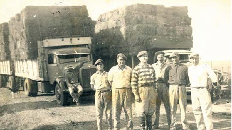 Camiones con fardos listos para partir para la capital, los camioneros Mangas y Pirronito, los changarines y Adolfo Grobocopatel en el centro, con botas y boina. El destino final era Dorso Hnos., en Lomas de Zamora, y Cortés y Magliani de Lanús, que luego los distribuirían a los soderos de la zona. Foto: Los Grobo 25 años imaginando y construyendo el futuro. | LMCipolletti.com Camiones con fardos listos para partir para la capital, los camioneros Mangas y Pirronito, los changarines y Adolfo Grobocopatel en el centro, con botas y boina. El destino final era Dorso Hnos., en Lomas de Zamora, y Cortés y Magliani de Lanús, que luego los distribuirían a los soderos de la zona. Foto: Los Grobo 25 años imaginando y construyendo el futuro.