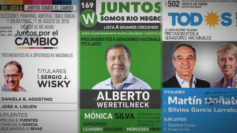 Mirá todos los candidatos que habrá en Río Negro para las PASO