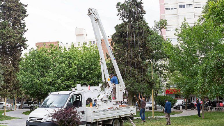 Armaron el pinito de Navidad en la plaza San Martín