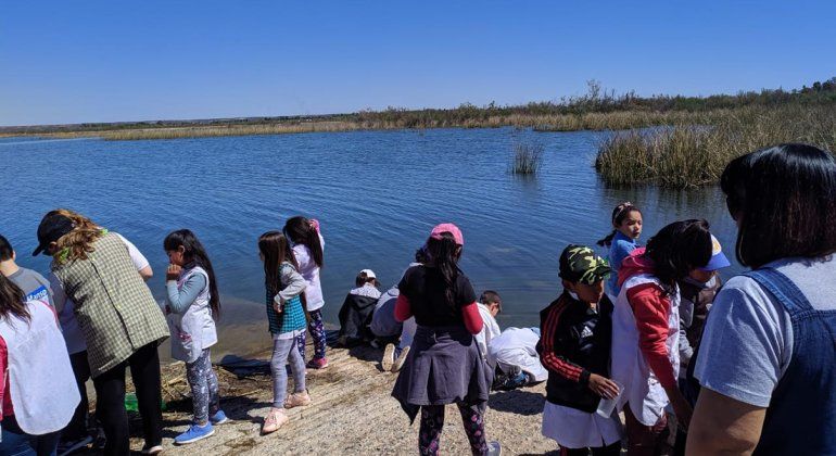 Chicos de escuelas de Cinco Saltos sembraron pejerreyes en el lago Pellegrini