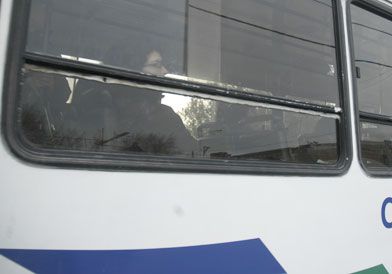 Empresas de transporte sufren la falta de gasoil