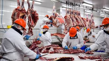 El estudio de FADA reveló que los argentinos comen menos carne vacuna y que la presión impositiva supera la cuarta parte del valor en góndola. | LMCipolletti.com El estudio de FADA reveló que los argentinos comen menos carne vacuna y que la presión impositiva supera la cuarta parte del valor en góndola.