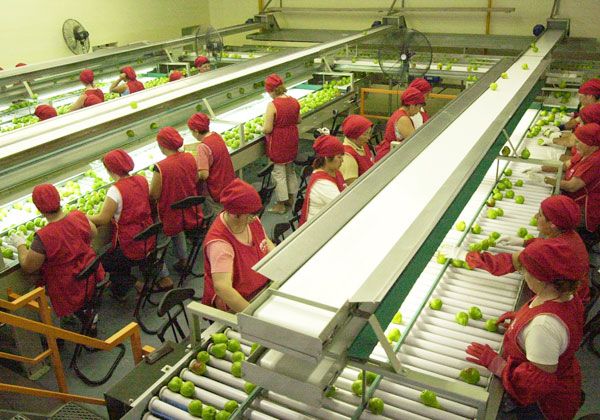 Mañana nuevo encuentro entre el empaque y CAFI