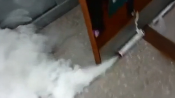 Bengala en el colegio.