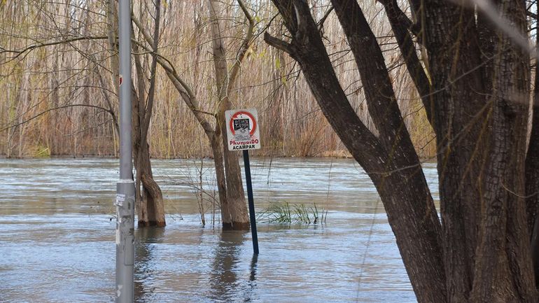 La crecida de mayo ocupó las costas ribereñas.