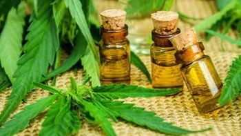 revocaron una medida que permitia a una familia cultivar cannabis