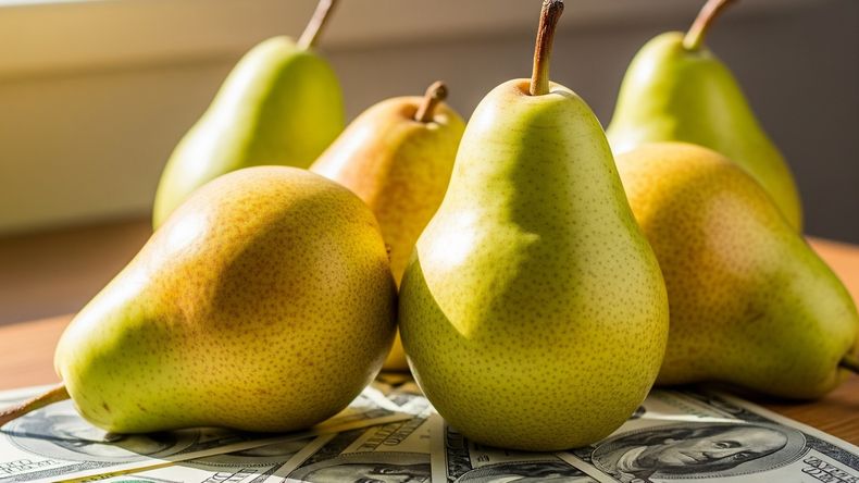 Las exportaciones mundiales alcanzaron un récord de 2.951 millones de dólares, con precios en alza pese a un consumo global estable. | LMCipolletti.com Las exportaciones mundiales alcanzaron un récord de 2.951 millones de dólares, con precios en alza pese a un consumo global estable.