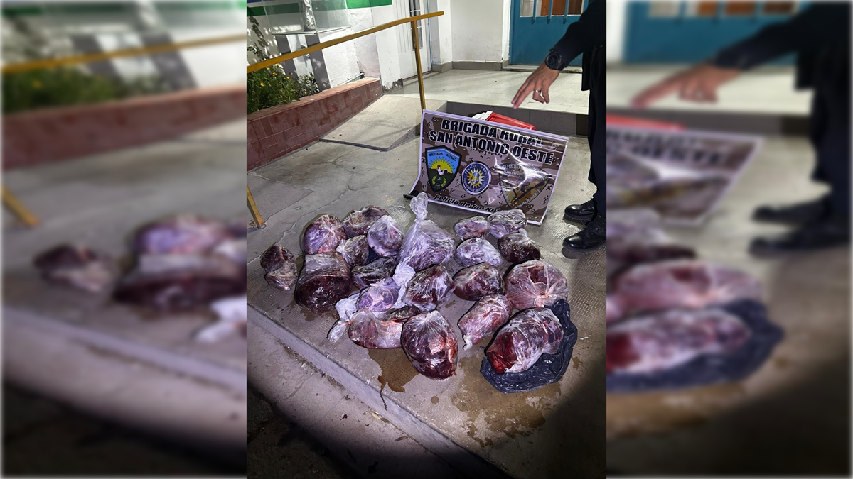 El hecho ocurrió sobre la Ruta Provincial 61. El operativo fue realizado por la Brigada Rural de San Antonio Oeste. Foto: Gentileza.