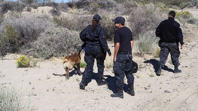 A casi un año de su desaparición