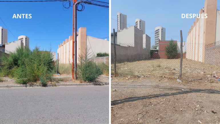 El último operativo de limpieza fue sobre un terreno de la calle Lugones de Cipolletti. Municipio notificó