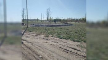 no echaran atras con su loteo, pese a advertencia municipal