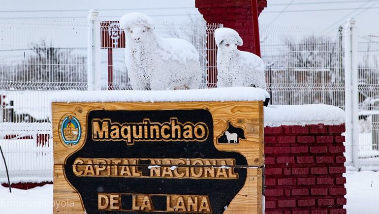 La cría de ovejas y la comercialización de lana son las principales actividades económicas de Maquinchao.