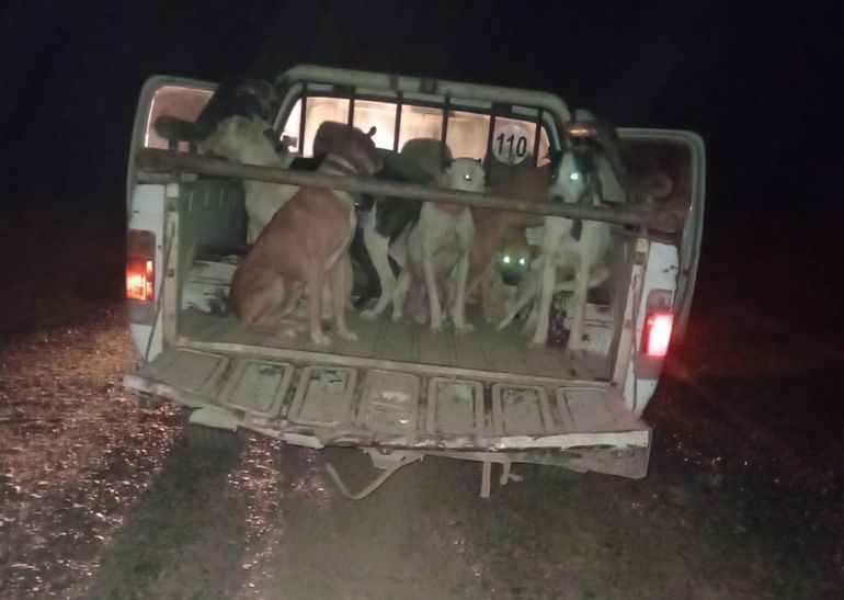 Dos hombres fueron sancionados tras un operativo de efectivos de la Brigada Rural. Foto: Gentileza.