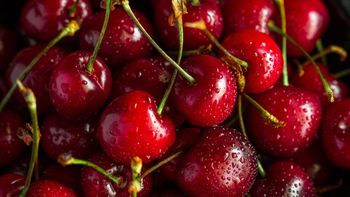 Chile no alcanzará las proyecciones iniciales y anticipa una temporada con menos fruta, mejores calibres y un impacto directo en la estrategia comercial. Chile no alcanzará las proyecciones iniciales y anticipa una temporada con menos fruta, mejores calibres y un impacto directo en la estrategia comercial.