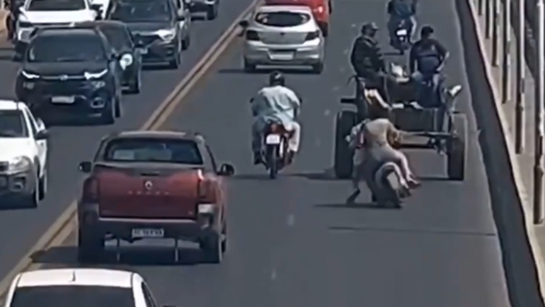 Insólito choque en Tucumán: moto, caballo y auto involucrados, todos ilesos