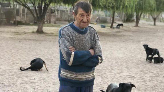 Preocupa el estado de los más de 500 perros del refugio