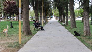 gitanas le hicieron una bendicion y le robaron 3800 pesos en la plaza