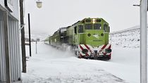 El Tren Patagónico habilita las venta de pasajes para agosto.