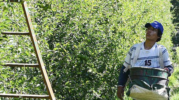 Nación y Provincia aportan $200 millones para cubrir los gastos de la cosecha 2016