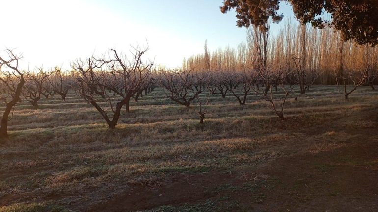 Las temperaturas bajan en la región.&nbsp;