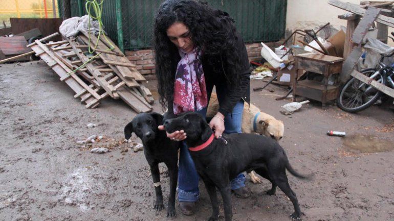 Laura Fuentes pone todo su empeño en alimentar y proteger a los canes que le envían otros proteccionistas mientras les buscan un hogar de adopción.