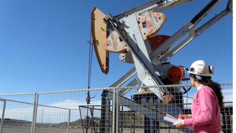 El nuevo sector petrolero será licitado en febrero
