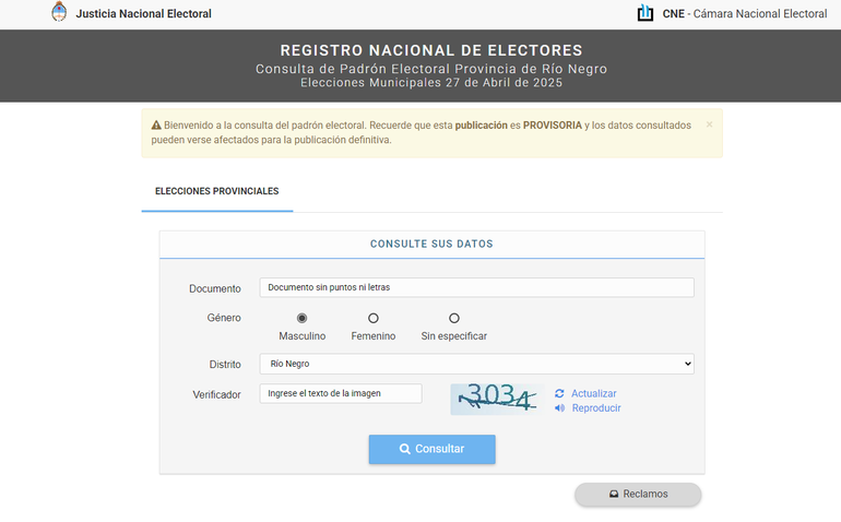 Ya se puede consultar el padrón provisorio para las elecciones municipales de nueve localidades de Río Negro.