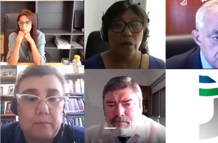 La audiencia fue en el formato virtual. 