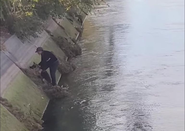 El hecho ocurrió este miércoles durante la mañana. Foto: Gentileza (Mario Villasuso - AN Allen).