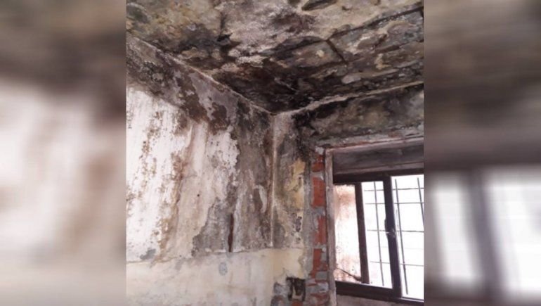 El drama sin fin de una familia a la que se le llueve su departamento