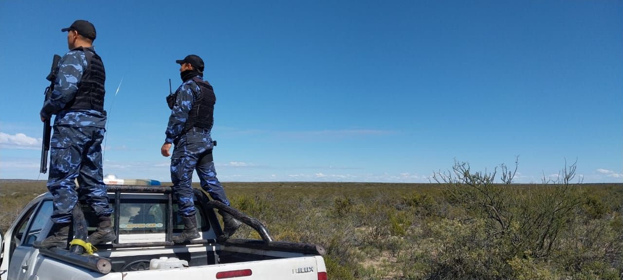 Tras los cuatreros: recuperaron seis vacunos robados