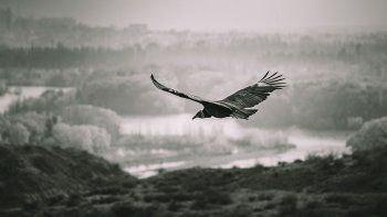 la leyenda de los rios limay y neuquen, desde los mapuches a la ciencia