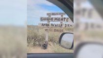 Google miente, la acusación que se hizo viral desde Las Grutas.