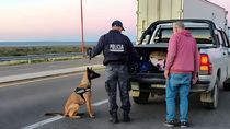 La Policía rionegrina realizó controles antidrogas en distintos puntos de la provincia. No se concretaron secuestros ni detenidos. La Policía rionegrina realizó controles antidrogas en distintos puntos de la provincia. No se concretaron secuestros ni detenidos.