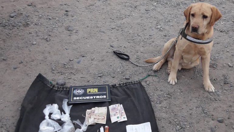 Ruta 22: intentó esquivar un control policial y le encontraron drogas en el auto 