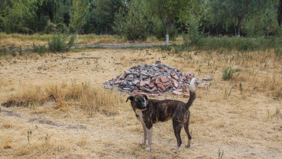 Los trabajadores advirtieron que Servicios Públicos arrojó residuos y no creen que sea para hacer un cerco.