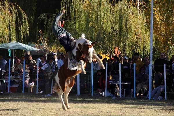 Si el evento se realiza, tendrá lugar camino a la pasarela de la Ruta 22. Si el evento se realiza, tendrá lugar camino a la pasarela de la Ruta 22. 
