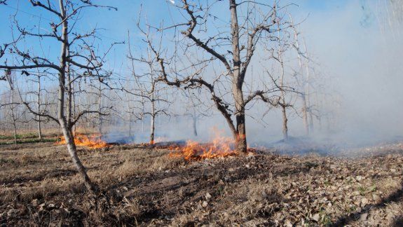 En Cuatro Esquinas, una quema de pastos cruzó a una chacra, donde dañó maquinaria y un galpón. En la zona urbana recargaron a los regadores para que no vuele tanto polvo.