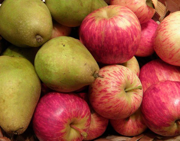 Larga vida a peras y manzanas con recubrimiento natural