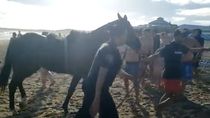 mar del plata: bajo a la playa a caballo y los turistas quisieron detenerlo a golpes