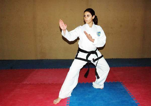 Encuentro de artes marciales