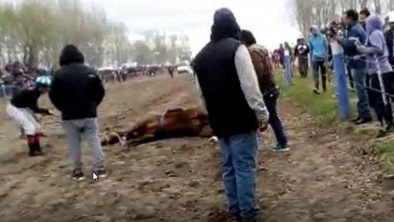 Polémica por la muerte de una yegua en una carrera en Catriel