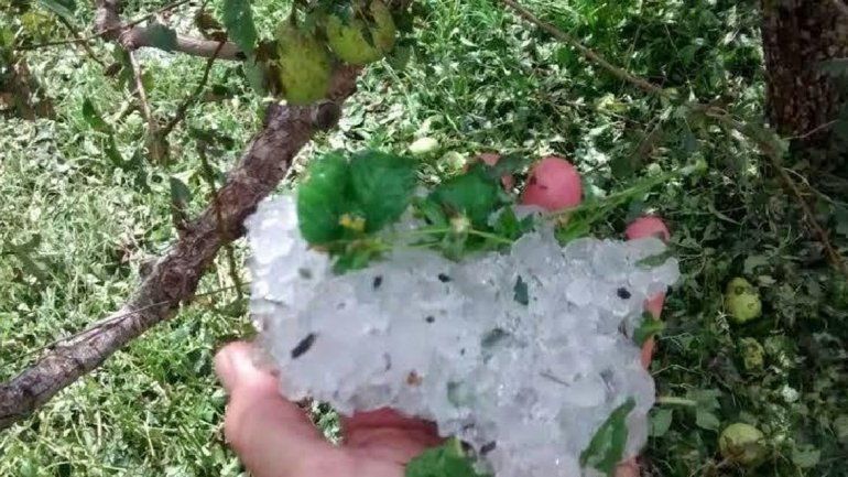 Comienza mañana el pago de la quinta cuota del seguro contra granizo