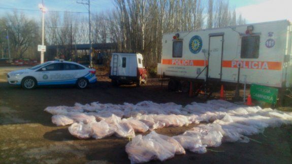 Secuestraron más de mil kilos de carne ilegal en la Ruta 22