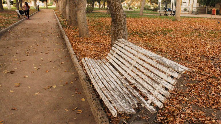 Cipolletti se luce bajo el manto del otoño